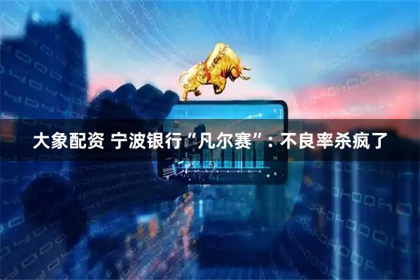 大象配资 宁波银行“凡尔赛”: 不良率杀疯了