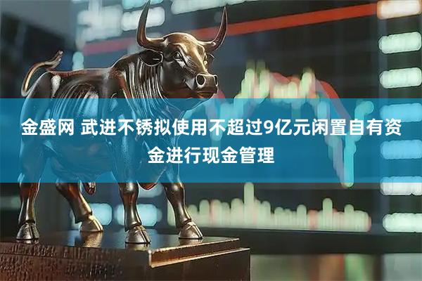 金盛网 武进不锈拟使用不超过9亿元闲置自有资金进行现金管理