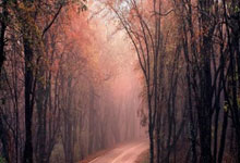 睿迎网:炒股配资平台选-8月20日涨停复盘：102只股涨停 腾龙股份6天5板